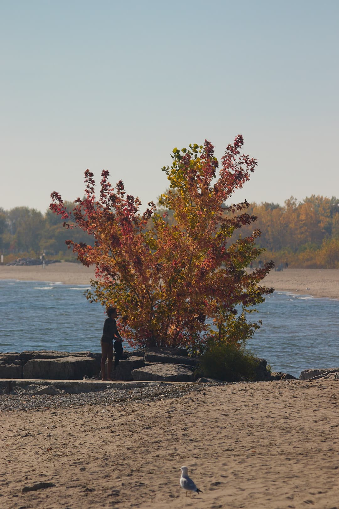 Outdoor Photography 03.jpg