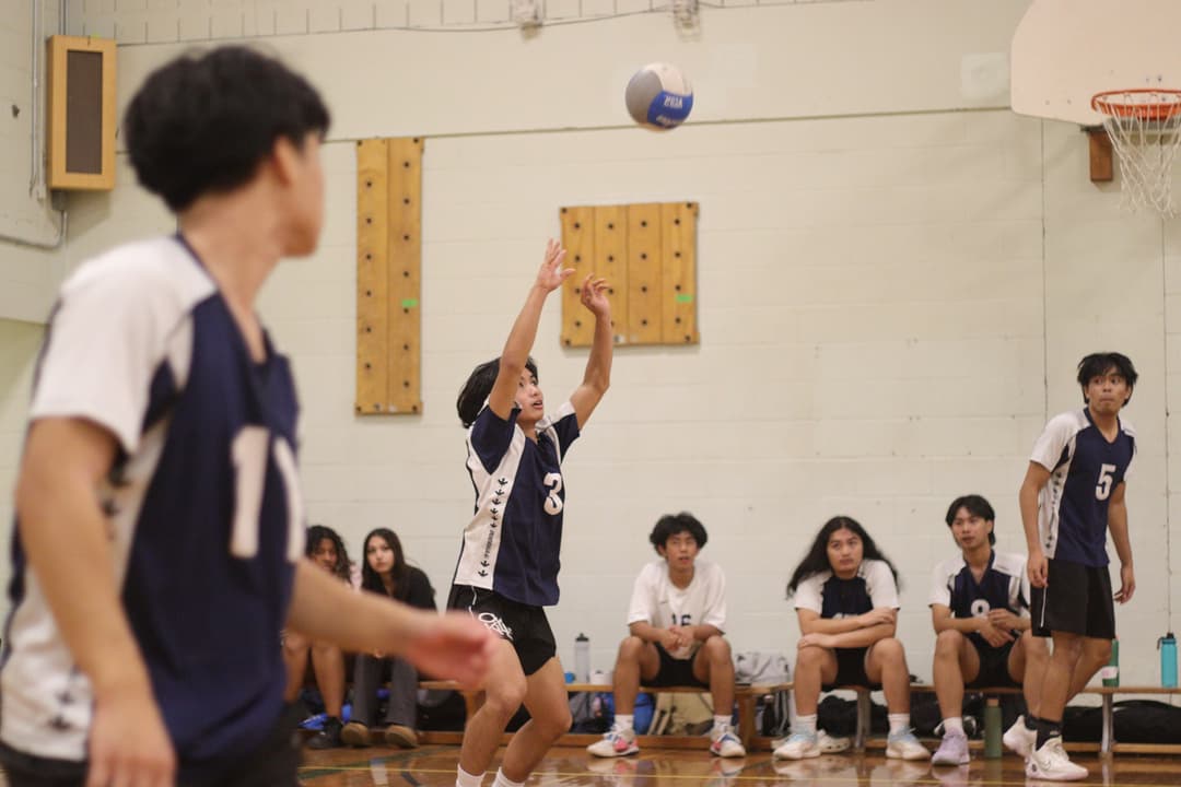 TDCAA Men's Volleyball 02.jpg