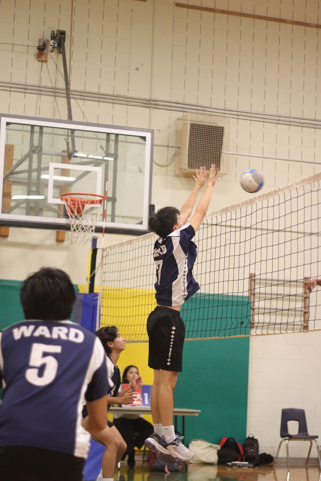 TDCAA Men's Volleyball 03.jpg