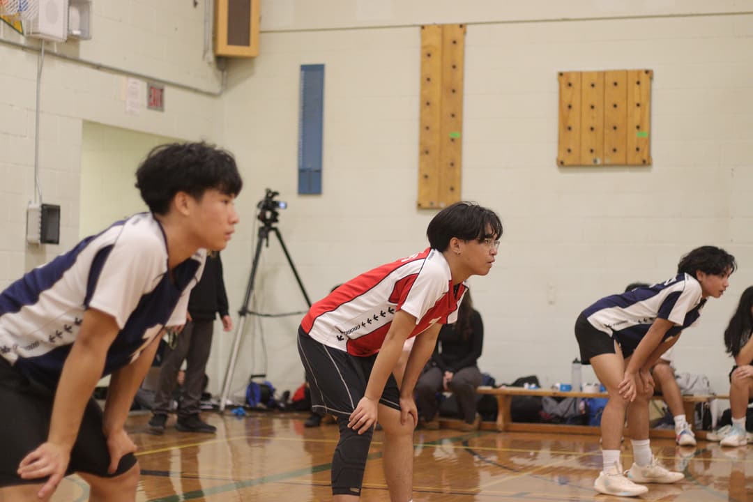 TDCAA Men's Volleyball 05.jpg